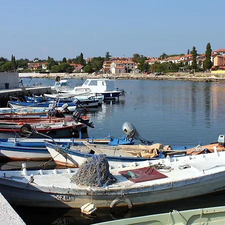 Zambratija 14557a